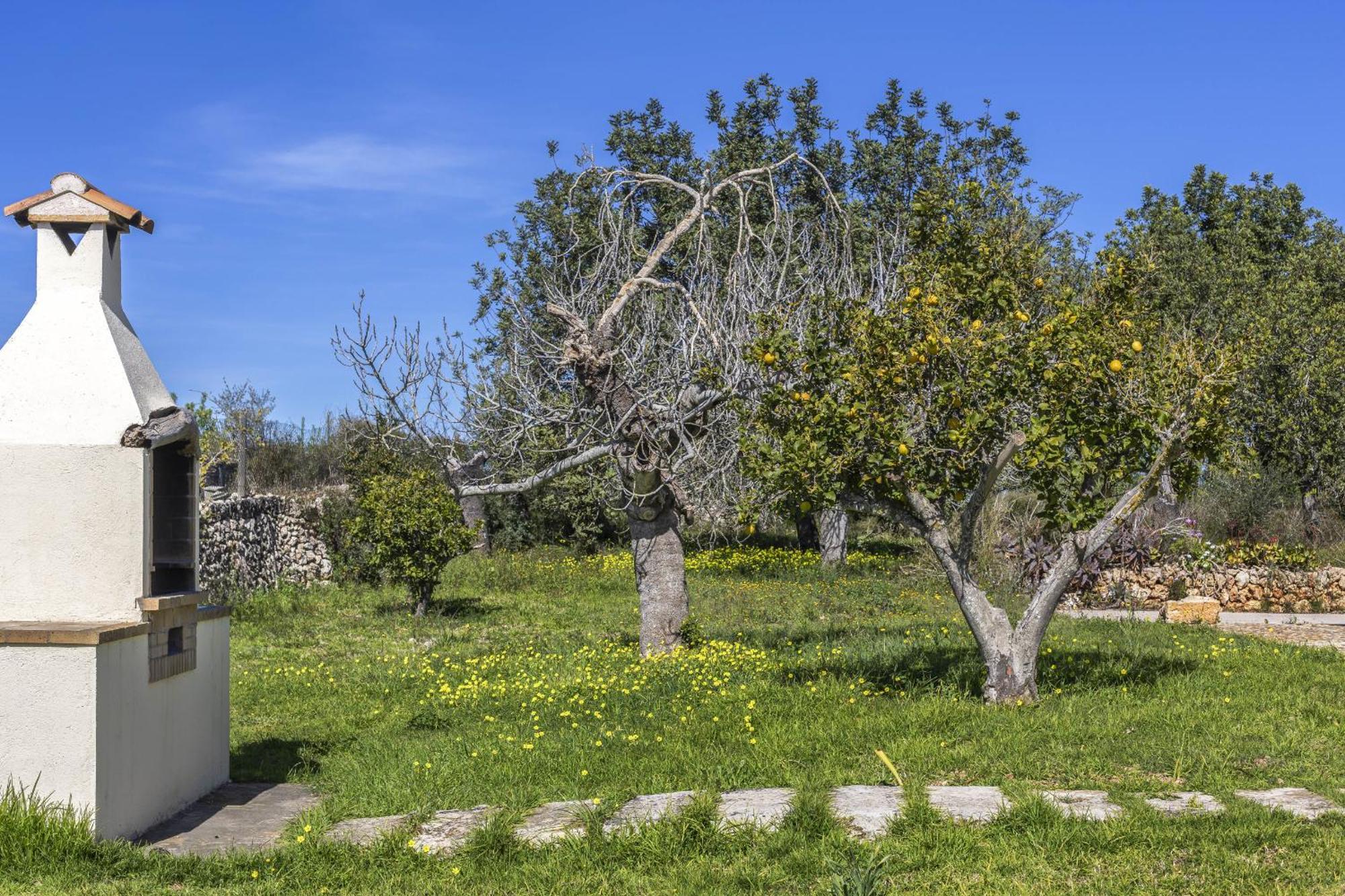 Finca Sa Torreta Santa Margalida Extérieur photo